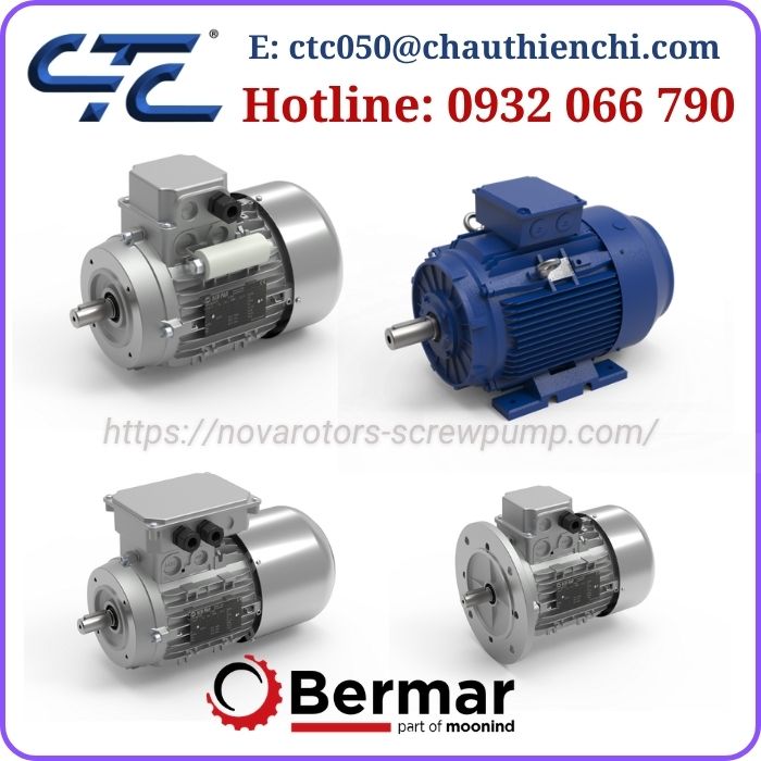 Động Cơ Điện BERMAR Made In Italy