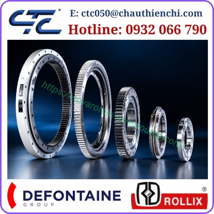 Rollix Slewing Ring Vòng Bi Xoay Nhập Khẩu Pháp